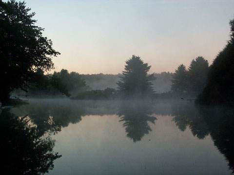 The Lake