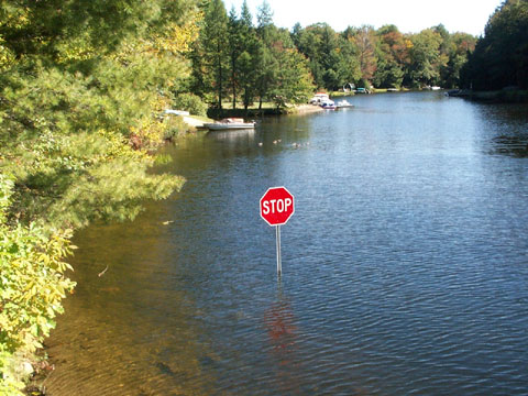 The Lake