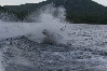 Wakeboarding